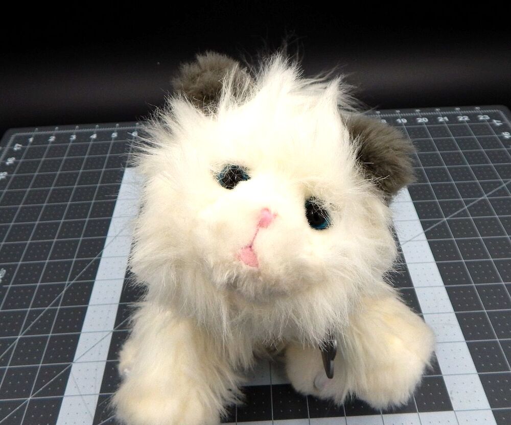 Little Live Pets Cuddles Dream White Kitten Persian Fluffy Cat Interactive